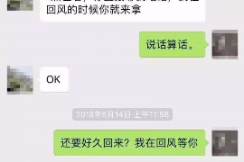 大安为什么选择专业追讨公司来处理您的债务纠纷？