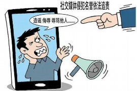 大安大安的要账公司在催收过程中的策略和技巧有哪些？